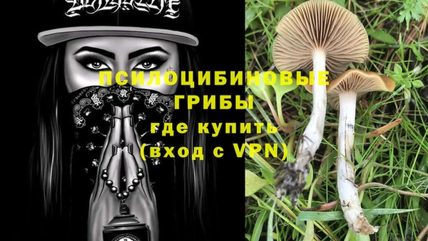 прущая мука Лабытнанги