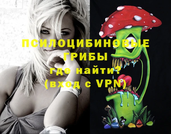первитин Алексеевка