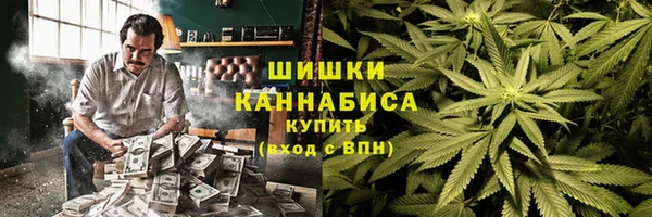 дживик Тайга