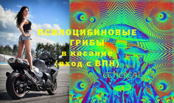ГАЛЛЮЦИНОГЕННЫЕ ГРИБЫ Абдулино