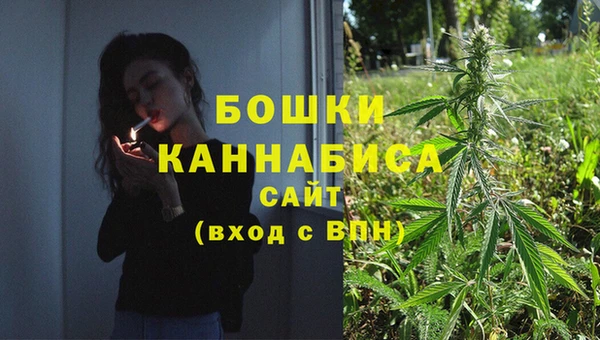 ГАЛЛЮЦИНОГЕННЫЕ ГРИБЫ Абдулино