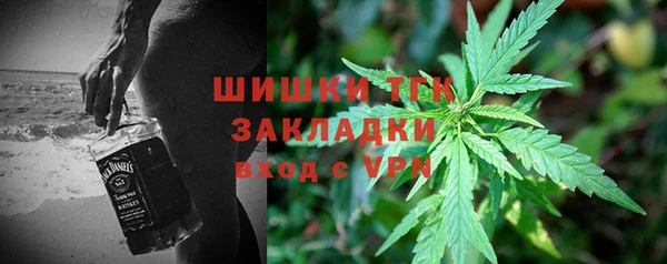 шишки Тавда